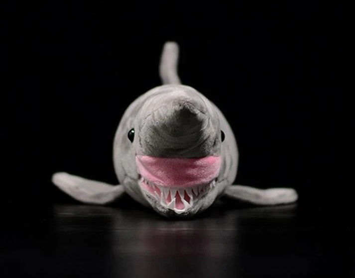 Chompy the Shark