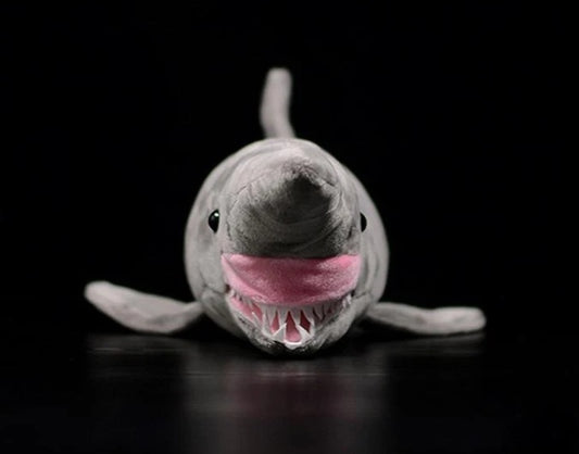 Chompy the Shark