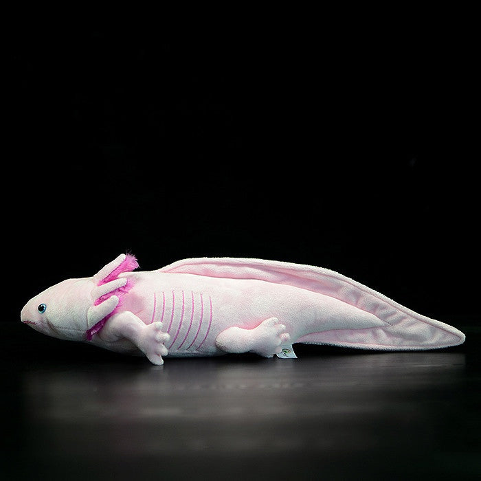 Bubbles the Axolotl