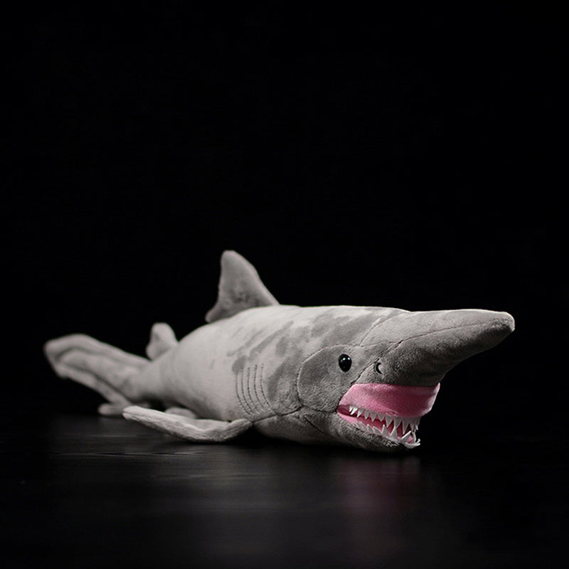 Chompy the Shark