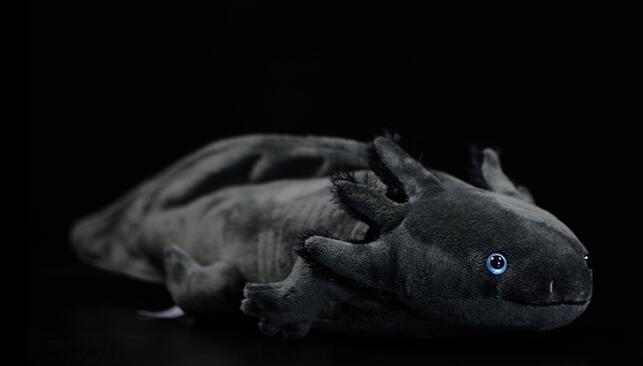 Bubbles the Axolotl