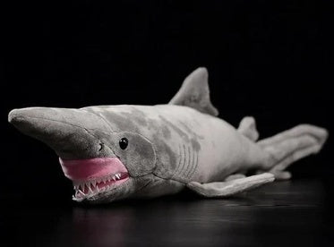 Chompy the Shark