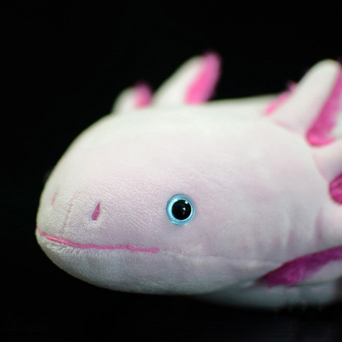 Bubbles the Axolotl