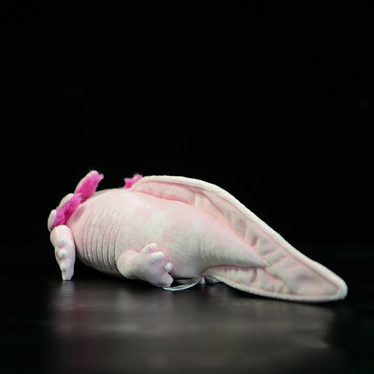 Bubbles the Axolotl