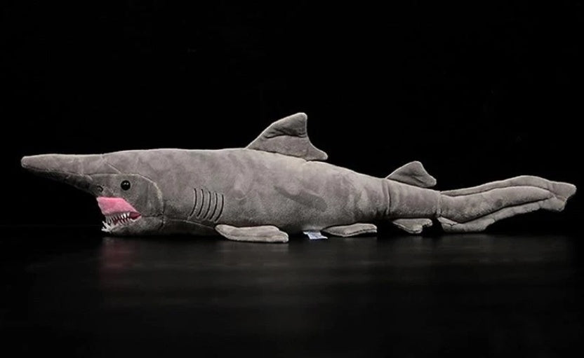 Chompy the Shark