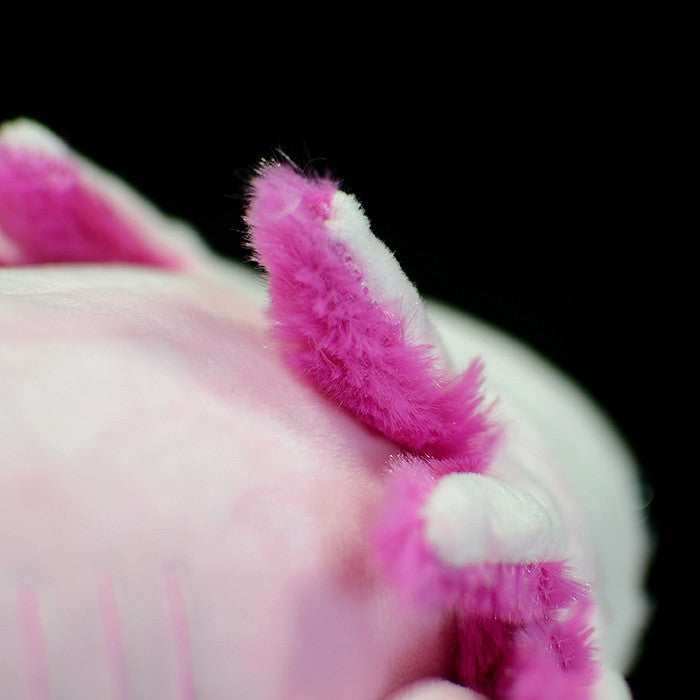 Bubbles the Axolotl