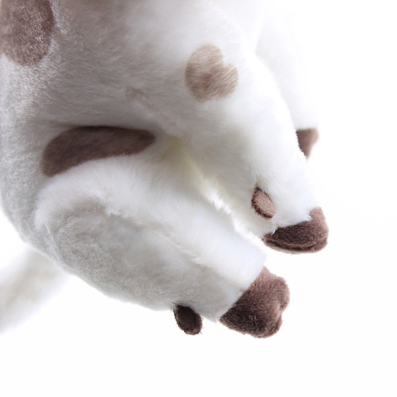 Cuddly Cow