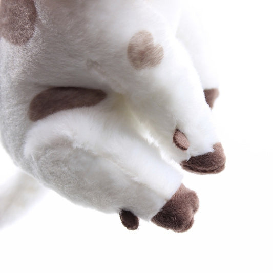Cuddly Cow