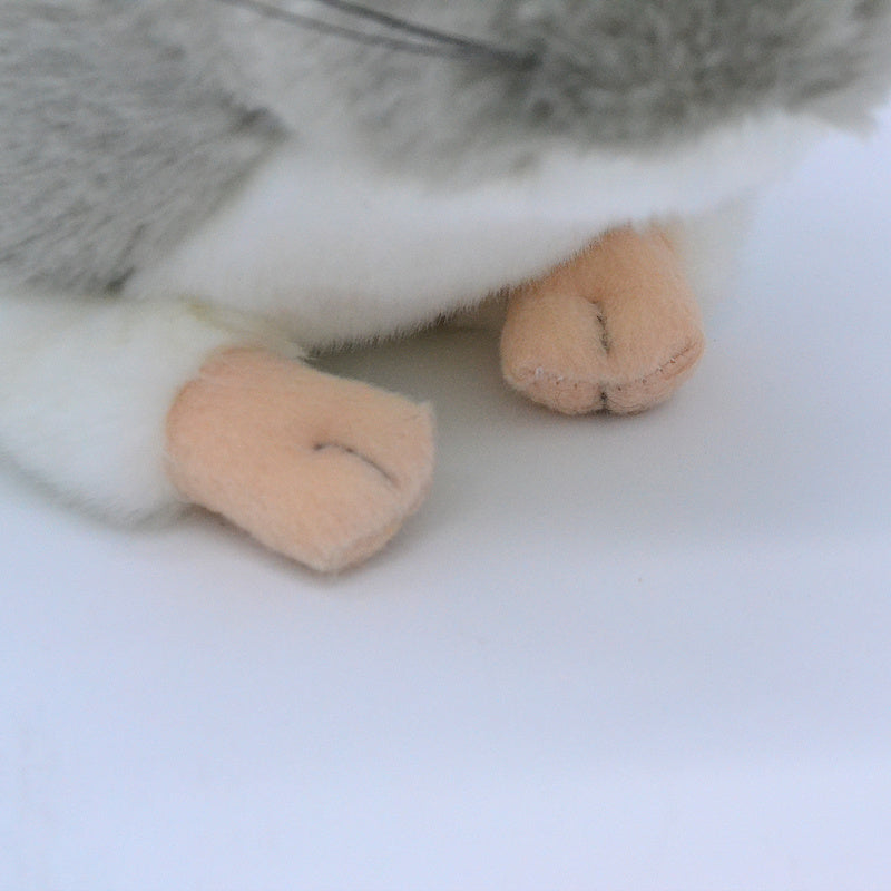 Nibble the Rat